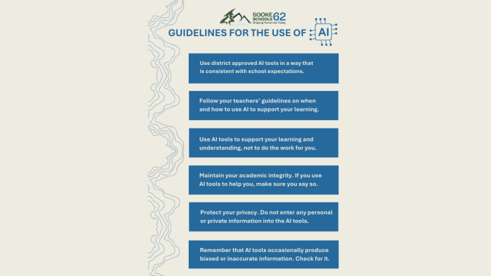 Guidelines for the use of AI