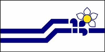 Franco Colombian Flag