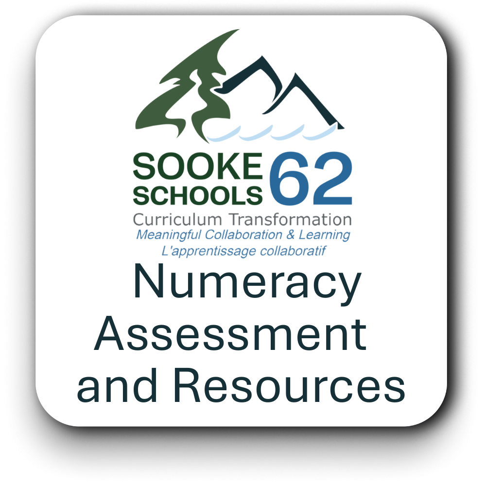 Numeracy Assessment
