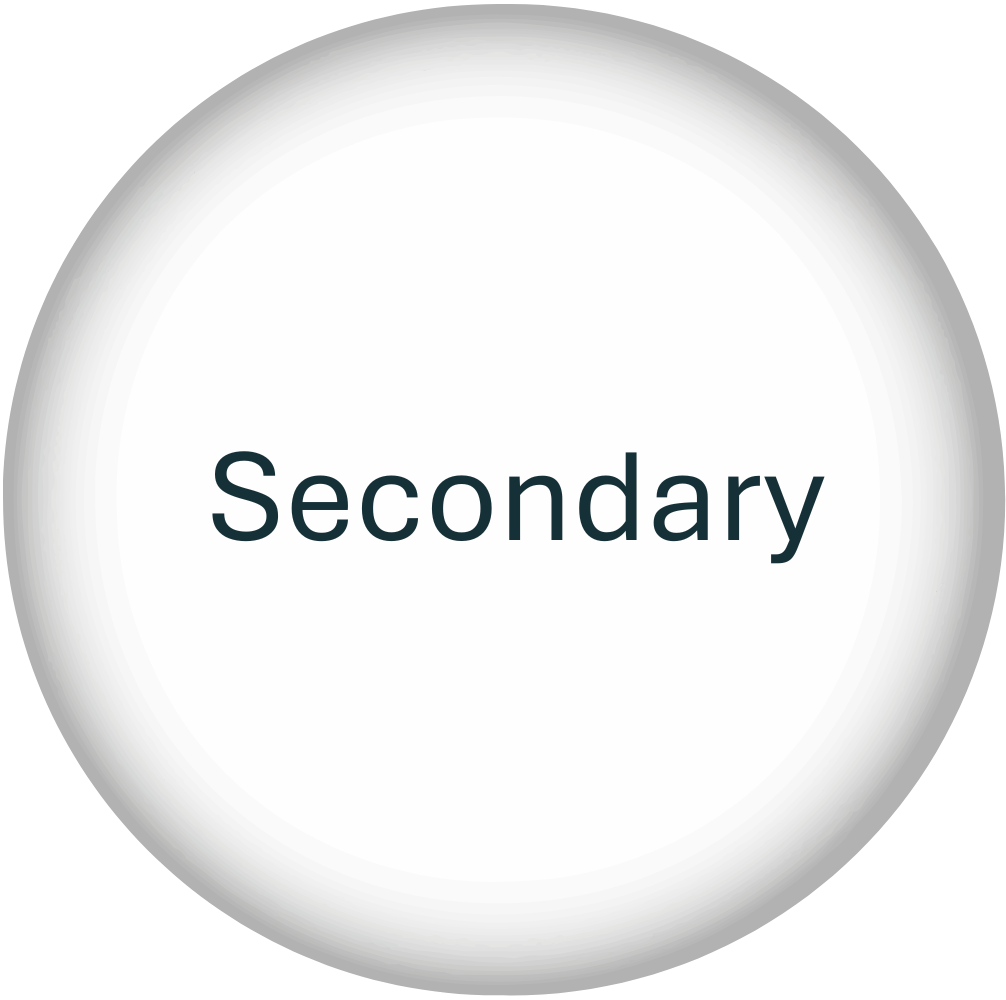 Secondary button